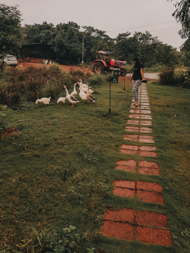 Photo of Forest Hills Tala- Weekend Gateway 25/27 by Hayyaa Here