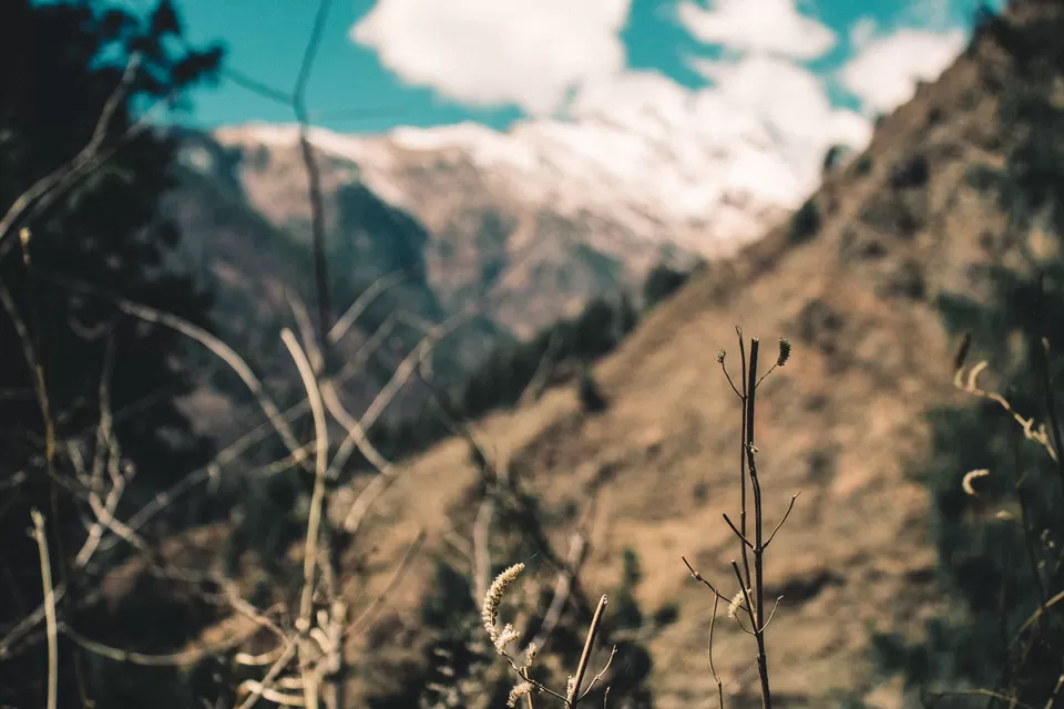 Photo of Kalgha, Sosan, Himachal Pradesh, India by Syed Ishaq
