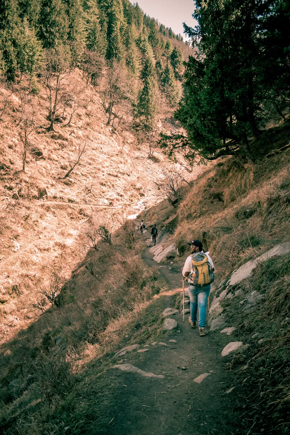 Photo of Kalgha, Sosan, Himachal Pradesh, India by Syed Ishaq
