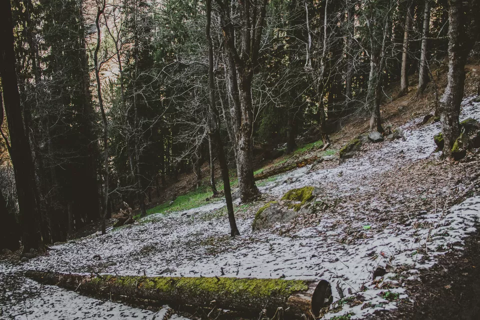 Photo of Kheerganga land of peace and serenity by Syed Ishaq