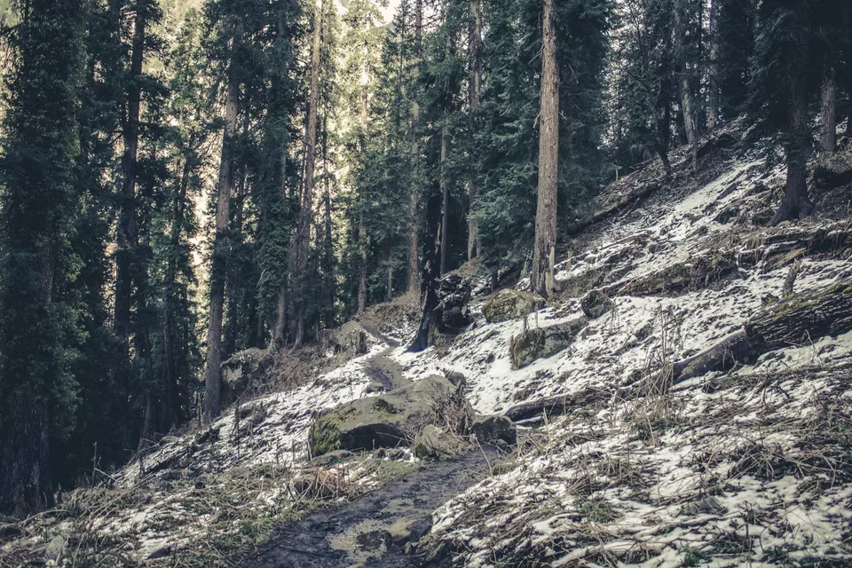 Photo of Kheerganga land of peace and serenity by Syed Ishaq