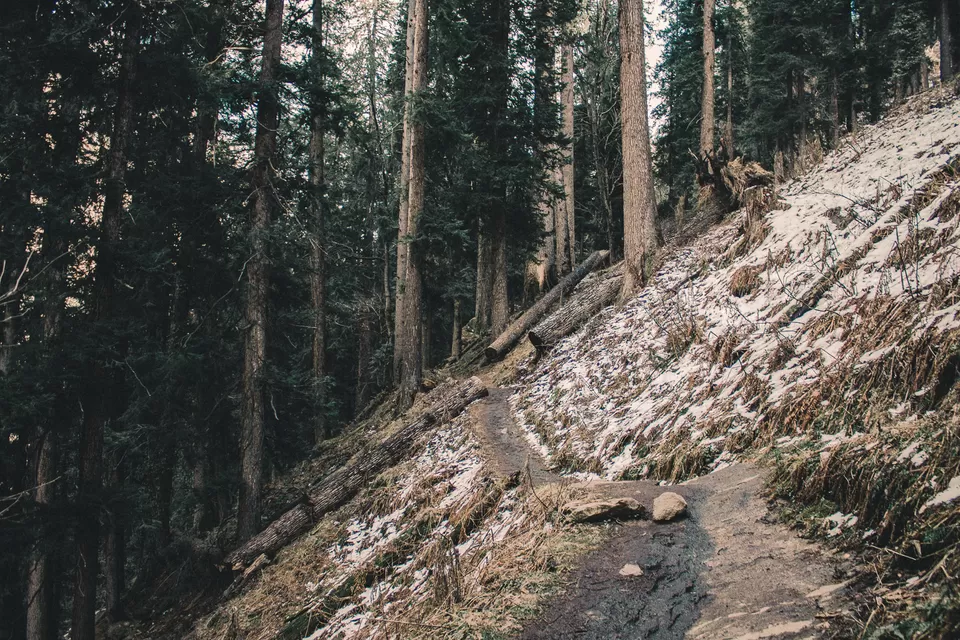 Photo of Kheerganga land of peace and serenity by Syed Ishaq