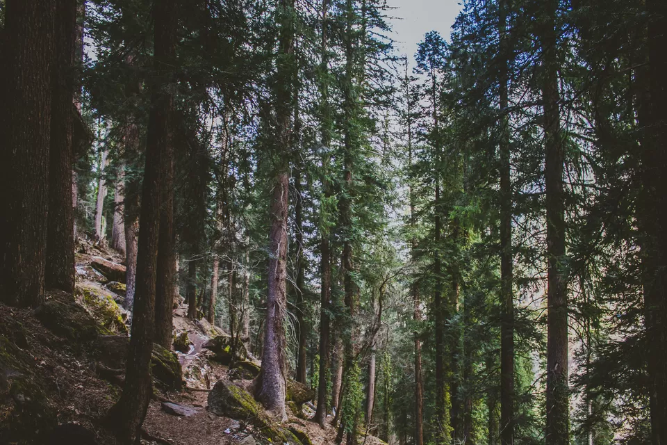 Photo of Kheerganga land of peace and serenity by Syed Ishaq