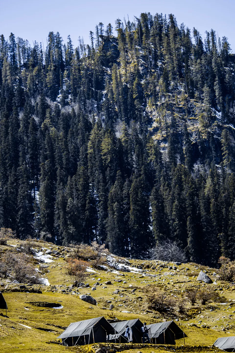 Photo of Kheerganga - Sunshine Himalayan Camp, Khir Ganga, Himachal Pradesh, India by Syed Ishaq