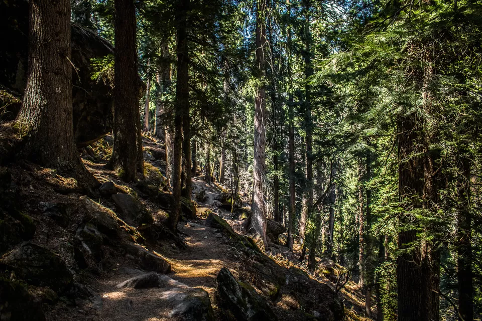 Photo of Kalgha, Sosan, Himachal Pradesh, India by Syed Ishaq