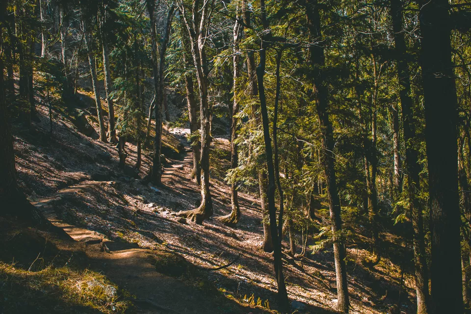 Photo of Kalgha, Sosan, Himachal Pradesh, India by Syed Ishaq