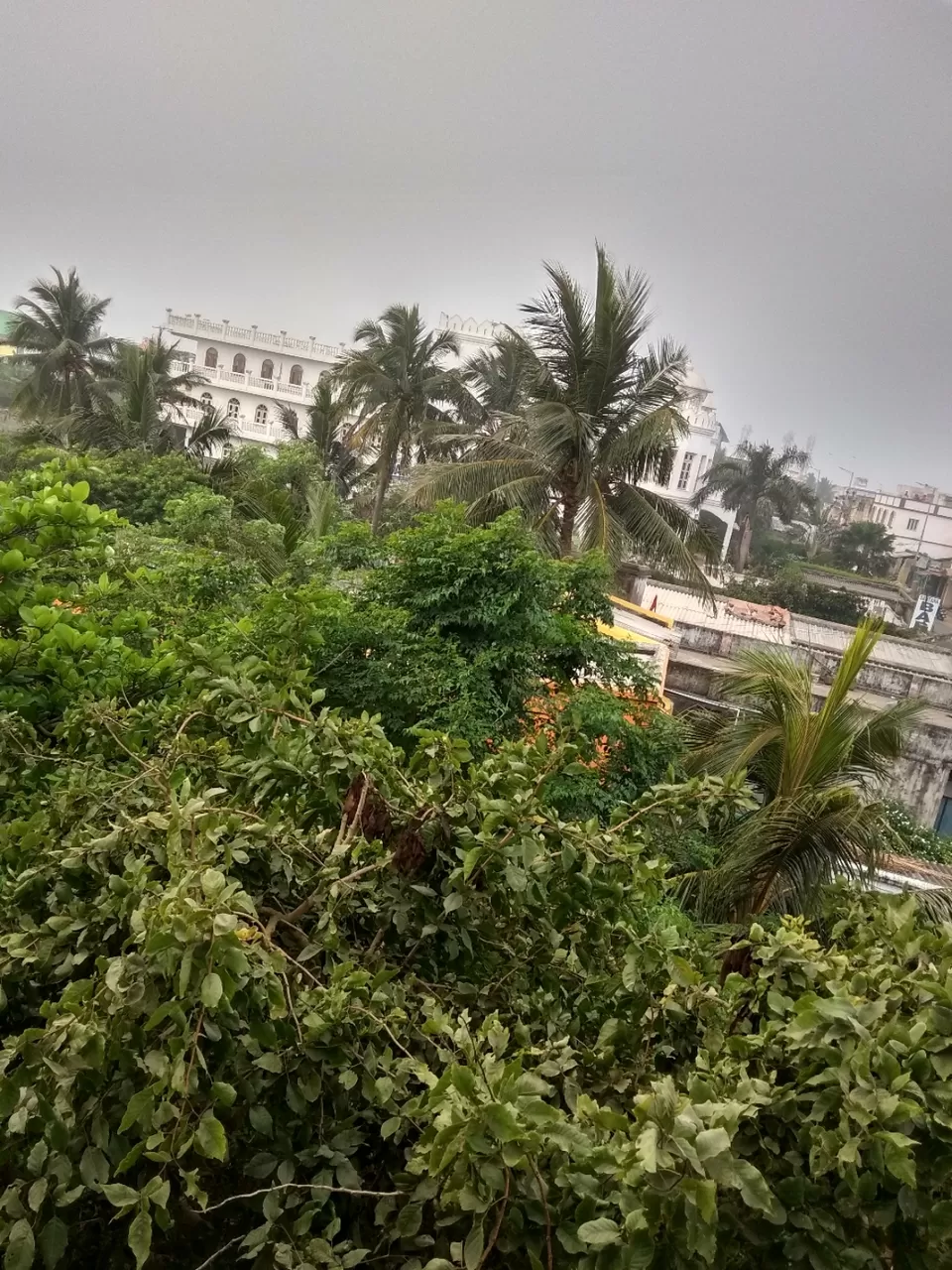 Photo of Puri By Sanhita DasGupta