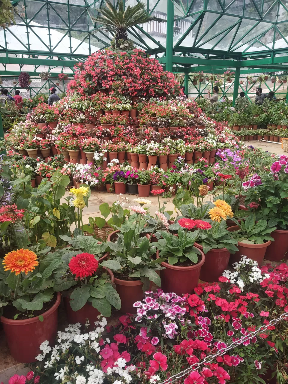 Photo of Ooty Botanical Gardens, Vannarapettai, Ooty, Tamil Nadu, India by Shweta Joshi