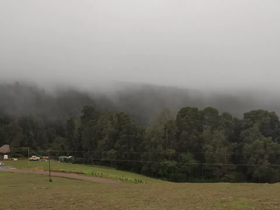 Photo of Wenlock Downs 9th Mile Shooting Point, Coimbatore-Ooty-Gundlupet Highway, Tamil Nadu, India by Shweta Joshi
