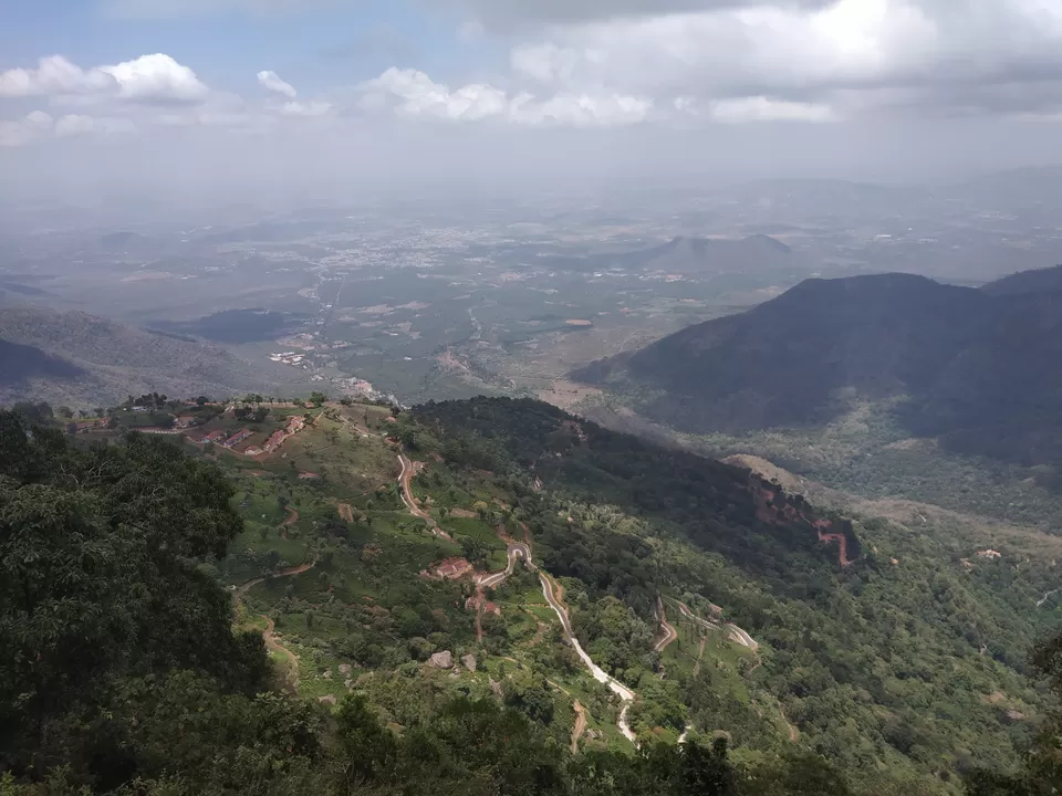 Photo of Coonoor Tea Estate, Coonoor, Tamil Nadu, India by Shweta Joshi