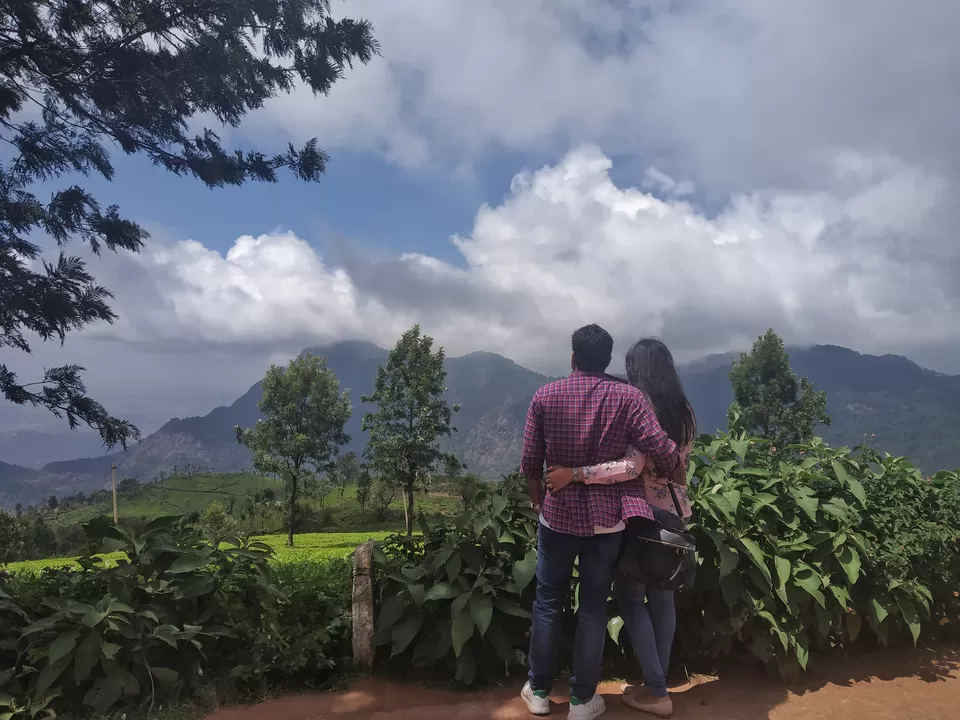 Photo of Coonoor Tea Estate, Coonoor, Tamil Nadu, India by Shweta Joshi