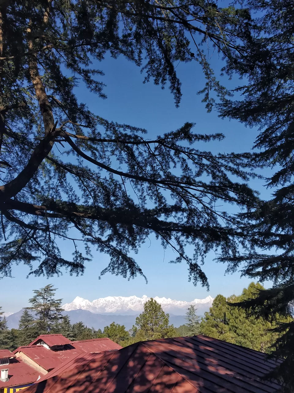 Photo of Ranikhet, Uttarakhand, India by Shweta Joshi