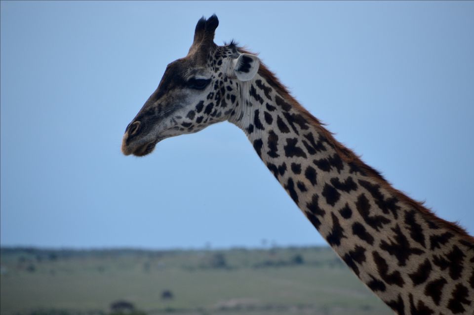 Photo of Jomo Kenyatta International (NBO), Embakasi, Nairobi, Kenya by Amulya