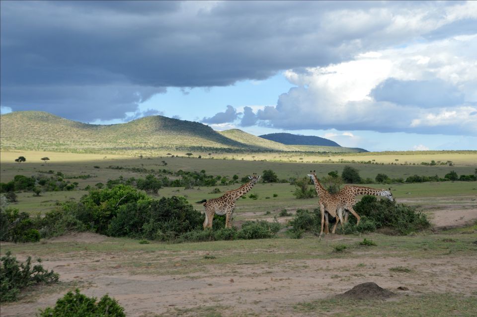 Photo of Jomo Kenyatta International (NBO), Embakasi, Nairobi, Kenya by Amulya