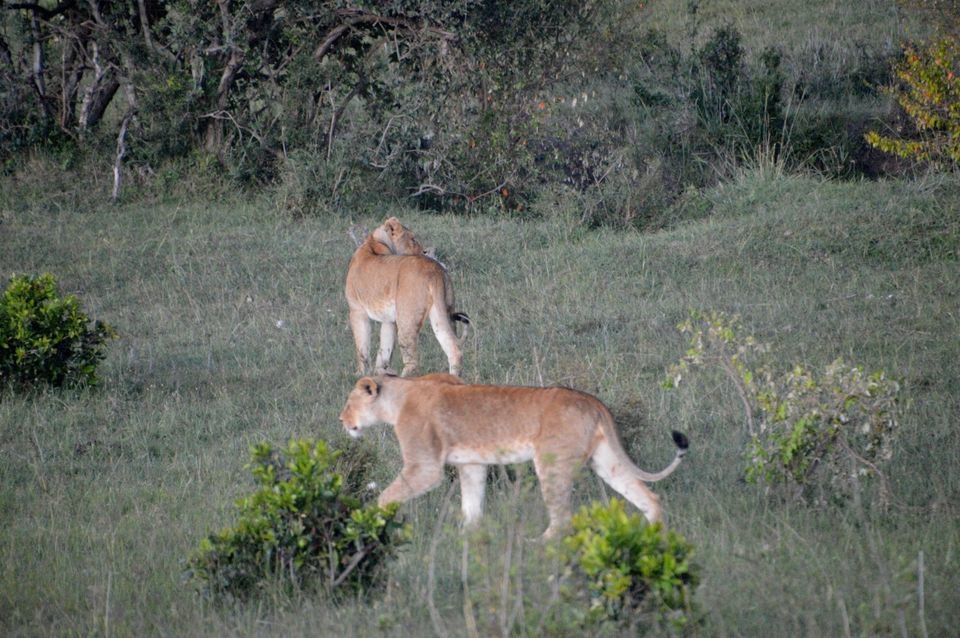 Photo of Jomo Kenyatta International (NBO), Embakasi, Nairobi, Kenya by Amulya