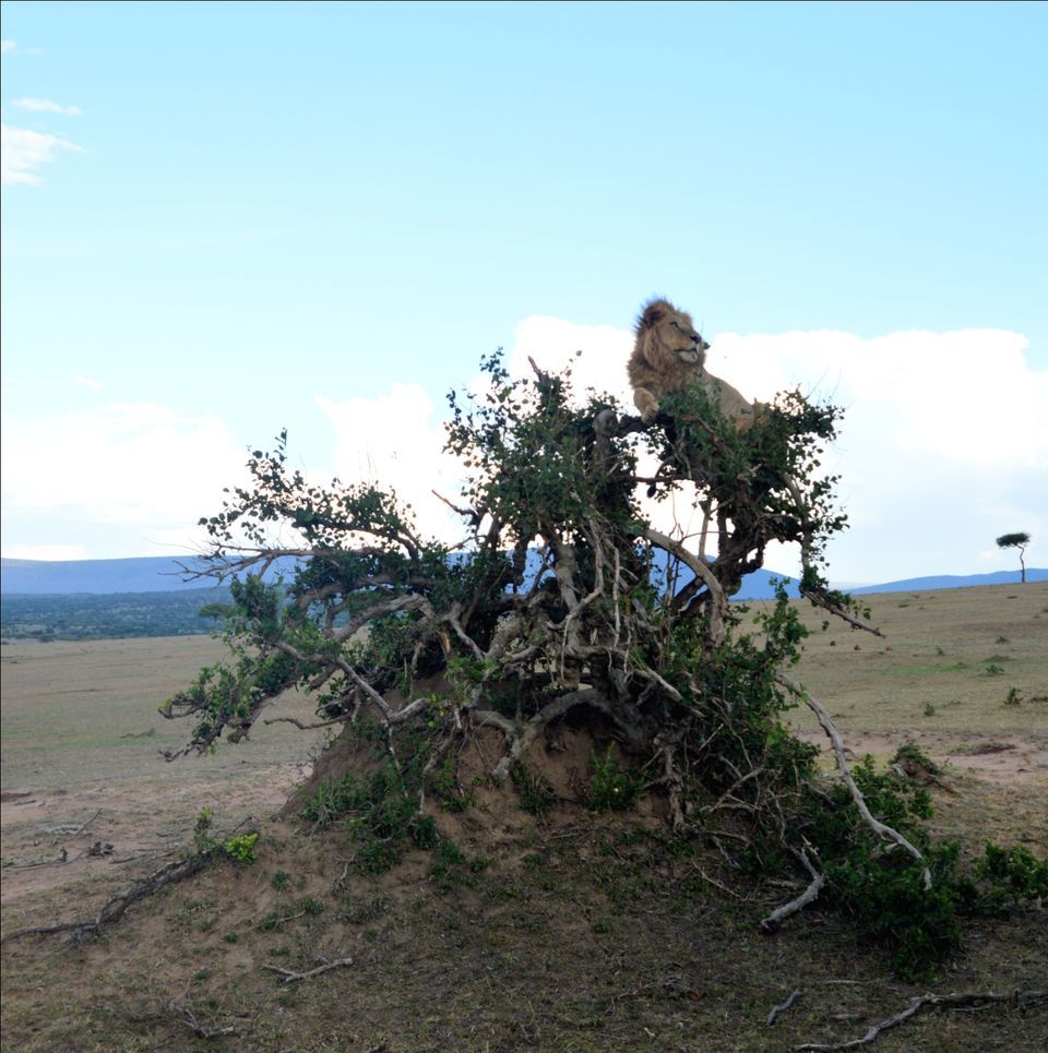 Photo of Jomo Kenyatta International (NBO), Embakasi, Nairobi, Kenya by Amulya
