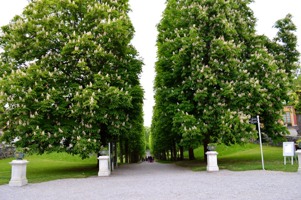 Photo of My Stockholm Diary (Sweden Memoirs) 85/137 by Amulya