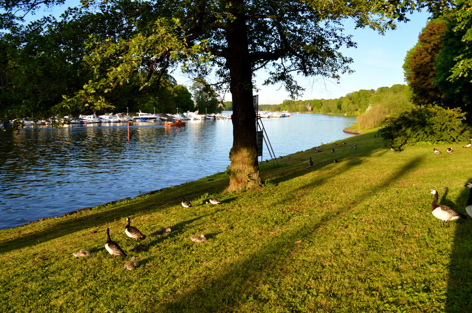 Photo of My Stockholm Diary (Sweden Memoirs) 103/137 by Amulya