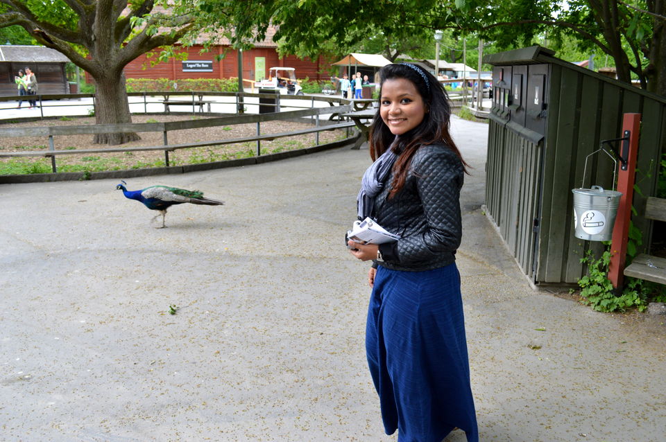Photo of My Stockholm Diary (Sweden Memoirs) 115/137 by Amulya
