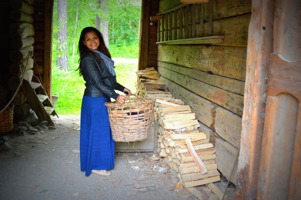 Photo of My Stockholm Diary (Sweden Memoirs) 120/137 by Amulya
