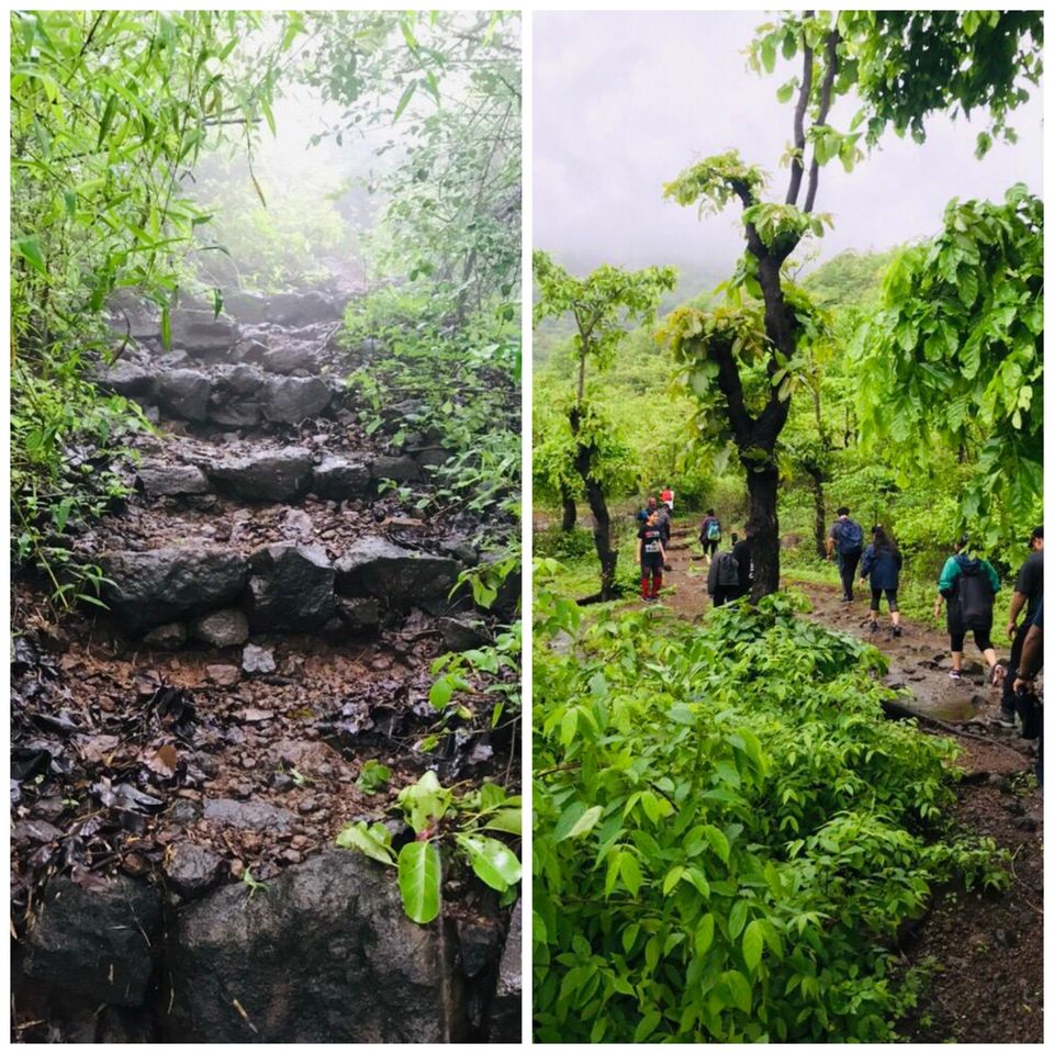 Photo of Tandulwadi fort, Tandulwadi, Maharashtra, India by namrata barve