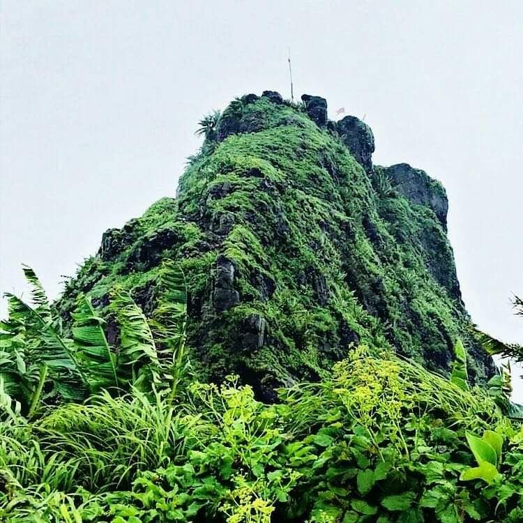 Photo of किल्ले तुंग ट्रेक by namrata barve