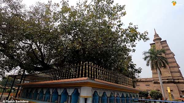 Photo of Places to see in Sarnath 13/28 by A Mango Traveler