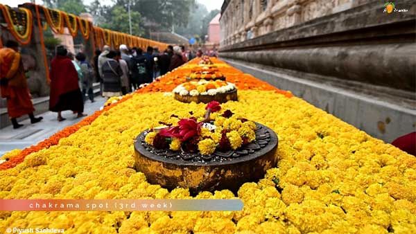 Photo of Shri Mahabodhi Temple, Bodhgaya 14/27 by A Mango Traveler