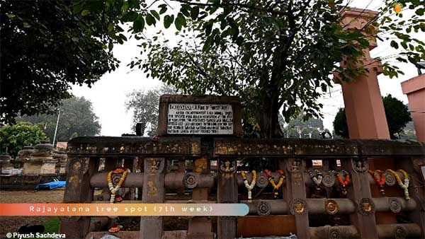 Photo of Shri Mahabodhi Temple, Bodhgaya 18/27 by A Mango Traveler