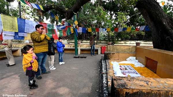 Photo of Places to see in Bodhgaya 3/20 by A Mango Traveler