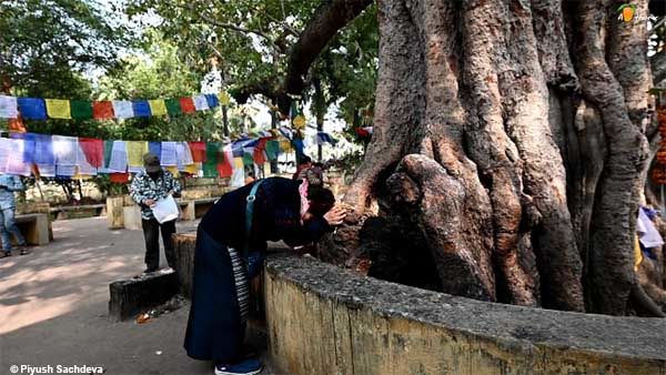 Photo of Places to see in Bodhgaya 4/20 by A Mango Traveler