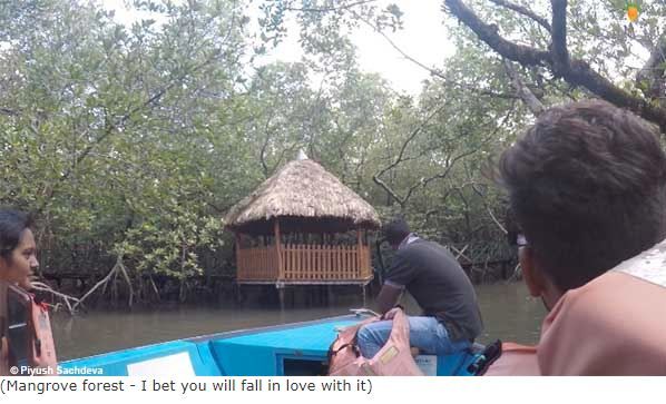 Photo of Baratang Island (Andaman Nicobar) 14/19 by A Mango Traveler
