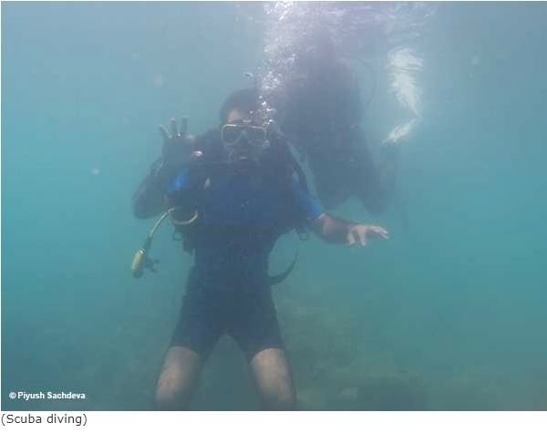 Photo of Havelock Island (Andaman-Nicobar) 14/16 by A Mango Traveler