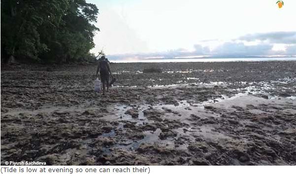 Photo of Neil Island (Andaman-Nicobar) 7/16 by A Mango Traveler