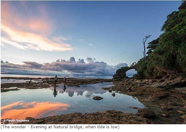 Photo of Neil Island (Andaman-Nicobar) 9/16 by A Mango Traveler