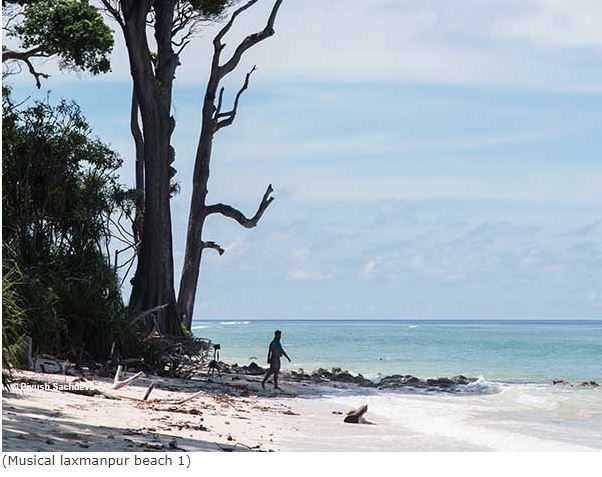 Photo of Neil Island (Andaman-Nicobar) 12/16 by A Mango Traveler