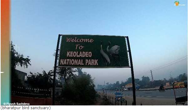 Photo of Bharatpur Bird Sanctuary 1/12 by A Mango Traveler