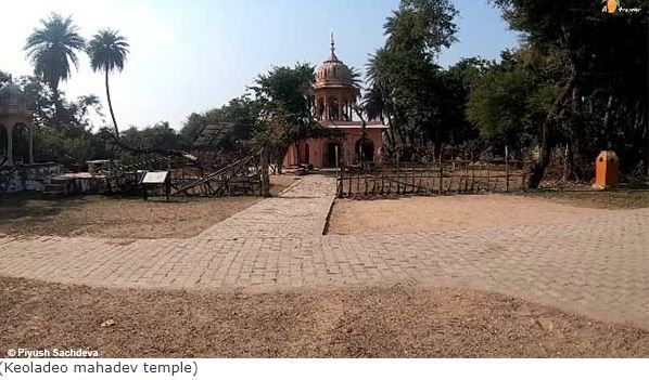 Photo of Bharatpur Bird Sanctuary 3/12 by A Mango Traveler