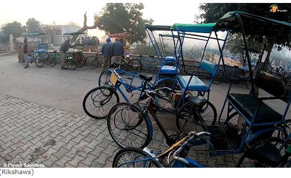 Photo of Bharatpur Bird Sanctuary 4/12 by A Mango Traveler
