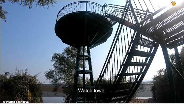 Photo of Bharatpur Bird Sanctuary 11/12 by A Mango Traveler