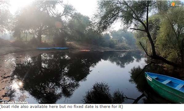 Photo of Bharatpur Bird Sanctuary 12/12 by A Mango Traveler