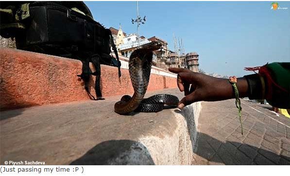 Photo of Famous Ghats and Life of Varanasi 17/45 by A Mango Traveler