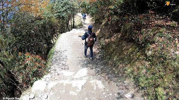 Photo of Lukla to Phakding | Mount Everest Base camp trek | Day 1 9/20 by A Mango Traveler