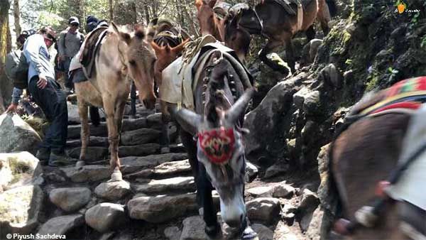 Photo of Phakding to Namche Bazaar | Mount Everest base camp trek | Day 2 9/15 by A Mango Traveler
