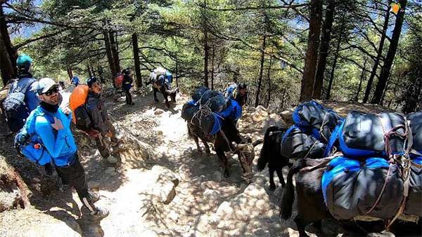 Photo of Namche Bazaar to Pangboche - Mount Everest base camp trek Day 4 9/21 by A Mango Traveler