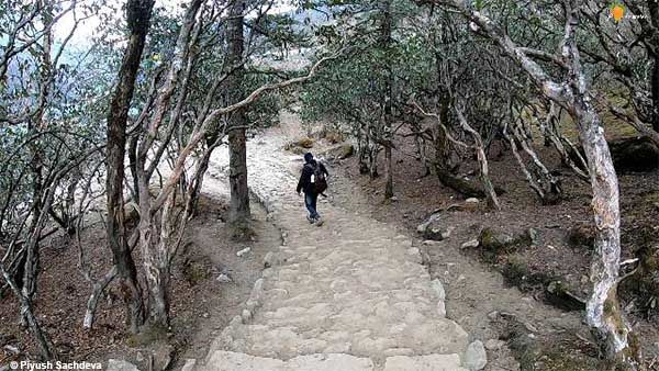 Photo of Namche Bazaar to Pangboche - Mount Everest base camp trek Day 4 17/21 by A Mango Traveler