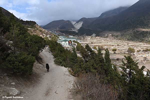 Photo of Namche Bazaar to Pangboche - Mount Everest base camp trek Day 4 20/21 by A Mango Traveler