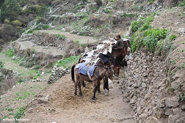 Photo of Everest base camp trek - returning back | day 10, 11 & 12 15/25 by A Mango Traveler
