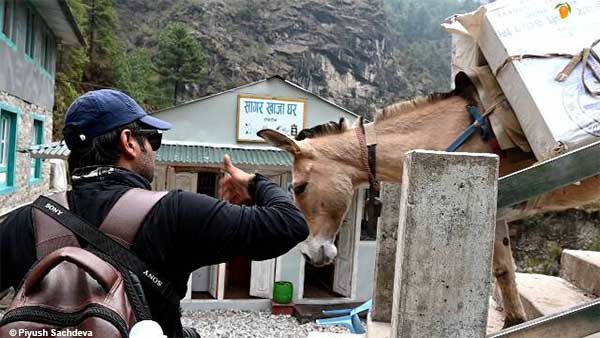 Photo of Everest base camp trek - returning back | day 10, 11 & 12 20/25 by A Mango Traveler