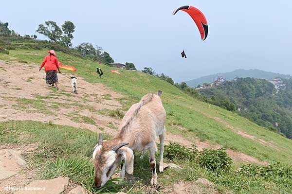 Photo of Places to see in Pokhara - Nepal 22/27 by A Mango Traveler